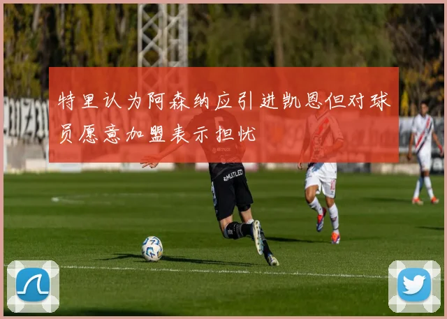 特里认为阿森纳应引进凯恩但对球员愿意加盟表示担忧